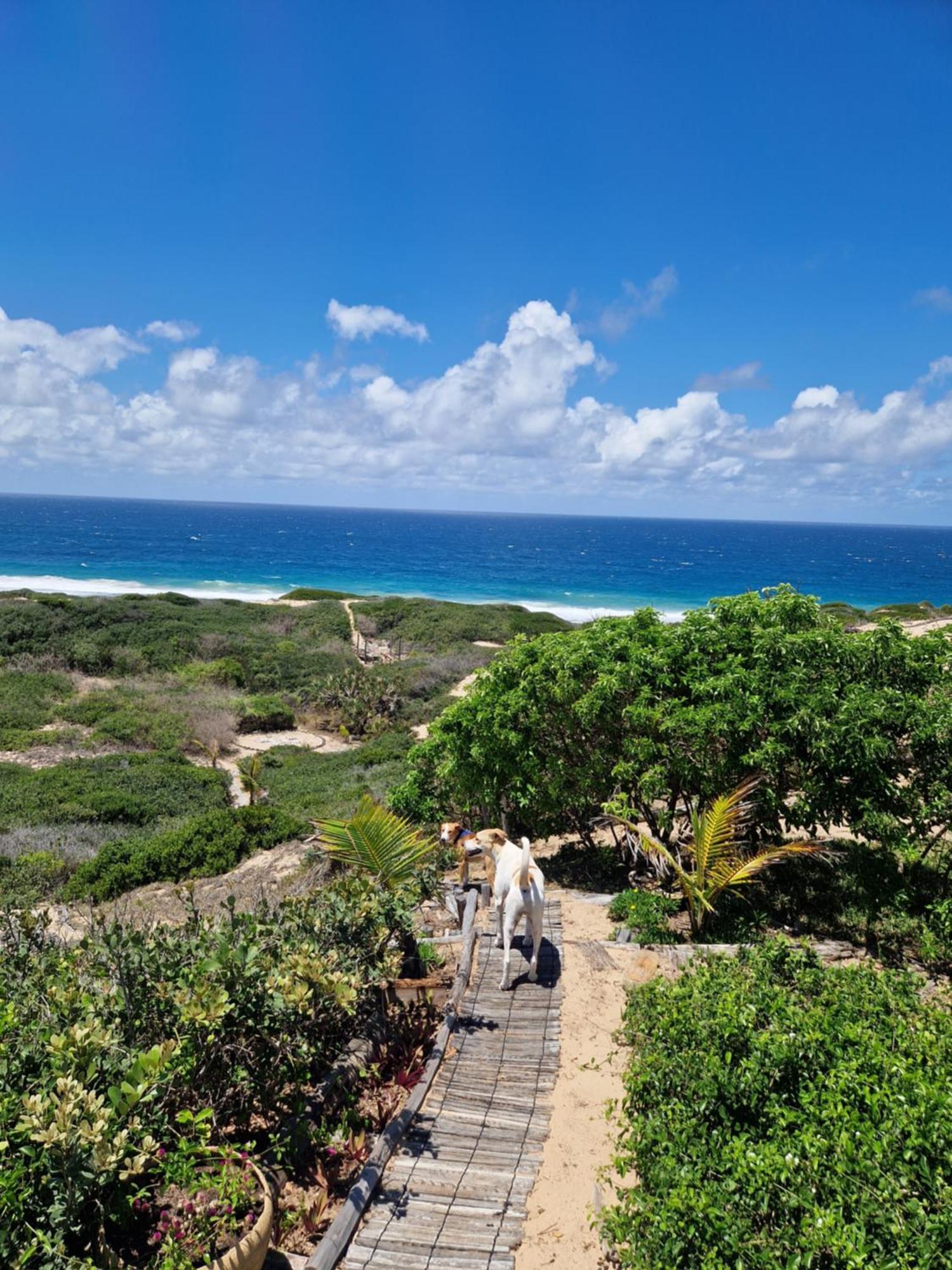 Mar-Me-Quer, Eco Beach Retreat Inhambane Exterior foto